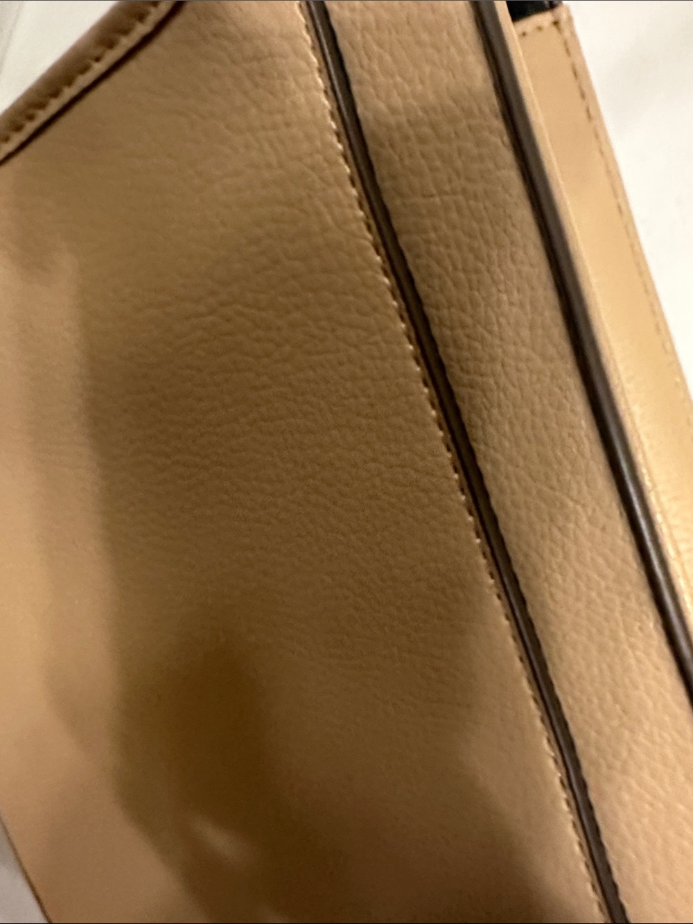 Steve Madden Taupe Crossbody Bag with Branded Canvas Strap - Picture 6 of 8